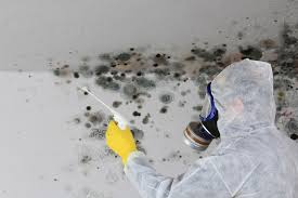 Best Mold Damage Restoration in Stamford, CT